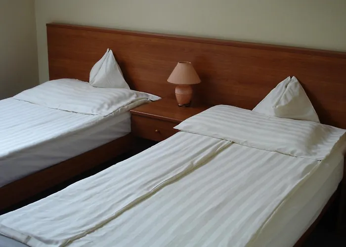 Tisza Alfa Отель 3*
