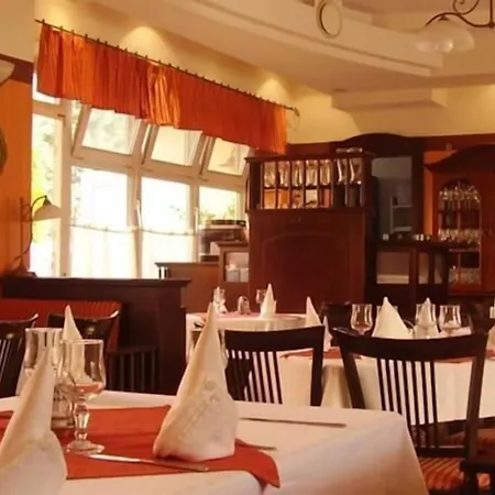 Tisza Alfa Hotel 3*