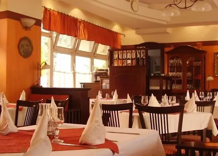 Tisza Alfa Hotell 3*